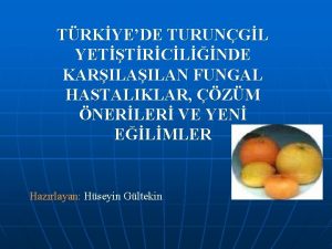 TRKYEDE TURUNGL YETTRCLNDE KARILAN FUNGAL HASTALIKLAR ZM NERLER