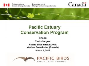 Pacific Estuary Conservation Program NPLCC Tasha Sargent Pacific