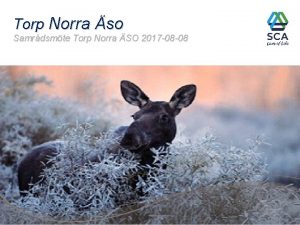 Torp Norra so Samrdsmte Torp Norra SO 2017