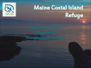 Maine Costal Island Refuge Christopher J Dupree Biology