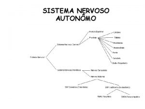 SISTEMA NERVOSO AUTONMO SISTEMA NERVOSO AUTONMO SIMPTICO PARASSIMPTICO