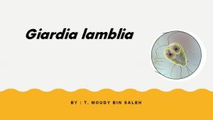 Giardia lamblia BY T MOUDY BIN SALEH In