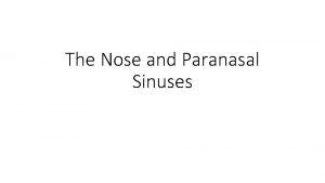 The Nose and Paranasal Sinuses Anatomy of the