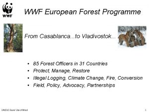 WWF European Forest Programme From Casablanca to Vladivostok