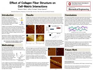 Effect of Collagen Fiber Structure on CellMatrix Interactions