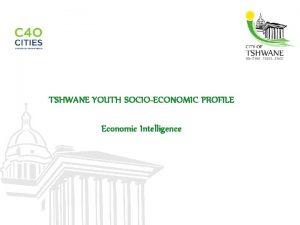 TSHWANE YOUTH SOCIOECONOMIC PROFILE Economic Intelligence Overview Summary