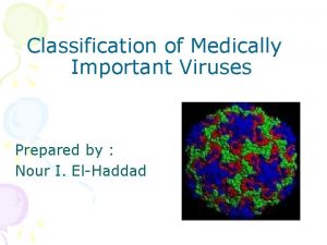 Classification of Medically Important Viruses Prepared by Nour