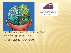 Prof Carla Meneses OFresia Snchez NM 3 Biologa