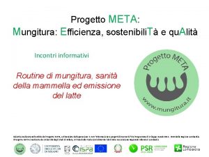 Progetto META Mungitura Efficienza sostenibili T e qu