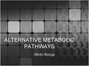 ALTERNATIVE METABOLIC PATHWAYS SBI 4 U Biology Glucose