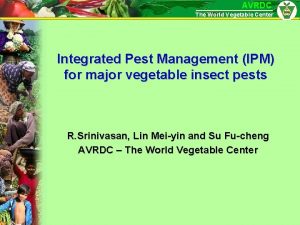 AVRDC The World Vegetable Center Integrated Pest Management