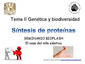 Tema II Gentica y biodiversidad SEMINARIO BIOFLASH El