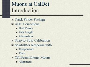 Muons at Cal Det Introduction Track Finder Package