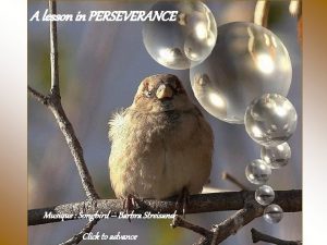 A lesson in PERSEVERANCE Musique Songbird Barbra Streisand