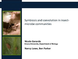 Symbiosis and coevolution in insectmicrobe communities Nicole Gerardo