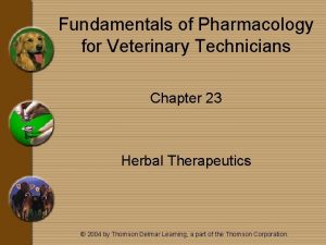 Fundamentals of Pharmacology for Veterinary Technicians Chapter 23