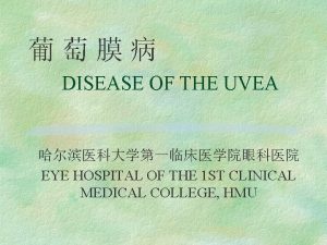 DISEASE OF THE UVEA EYE HOSPITAL OF THE