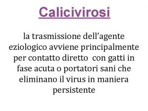 Calicivirosi la trasmissione dellagente eziologico avviene principalmente per