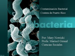 Contaminacin Bacterial Costera de Puerto Rico Por Mary