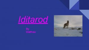 Iditarod By Matthew Introduction The Iditarod started when