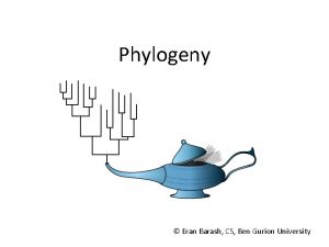 Phylogeny Eran Barash CS Ben Gurion University phylogeny