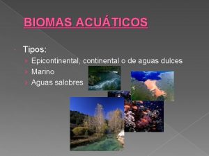 BIOMAS ACUTICOS Tipos Epicontinental continental o de aguas