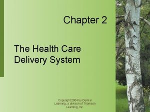 Chapter 2 The Health Care Delivery System Copyright