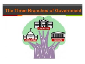 The Three Branches of Government expressed powers Powers