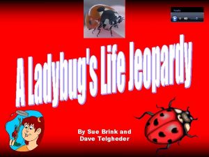 By Sue Brink and Dave Telgheder Ladybug Facts