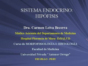 SISTEMA ENDOCRINO HIPFISIS Dra Carmen Leiva Becerra Mdico