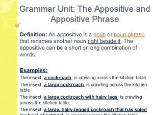 Grammar Unit The Appositive and Appositive Phrase Definition