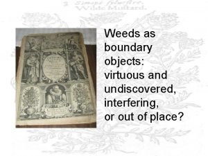 Weeds as boundary objects virtuous and undiscovered interfering