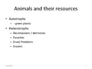 Animals and their resources Autotrophs green plants Heterotrophs