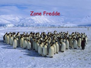 Zone Fredde Le Zone Fredde Nelle zone fredde