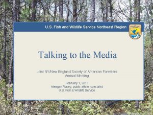 U S Fish and Wildlife Service Northeast Region