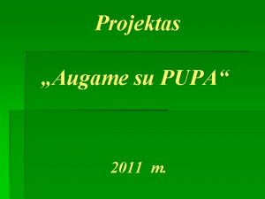Projektas Augame su PUPA 2011 m Nuo rugsjo