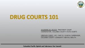 DRUG COURTS 101 JULIANNE M HEUER TREATMENT COURT