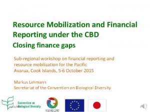 Resource Mobilization and Financial Reporting under the CBD