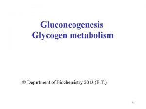 Gluconeogenesis Glycogen metabolism Department of Biochemistry 2013 E