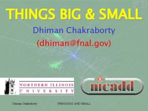 THINGS BIG SMALL Dhiman Chakraborty dhimanfnal gov Dhiman