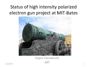 Status of high intensity polarized electron gun project