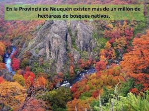 En la Provincia de Neuqun existen ms de