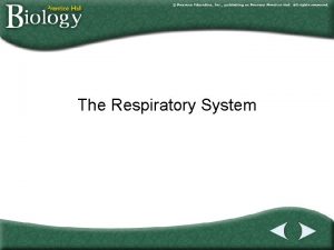 The Respiratory System Go to Section Section Outline