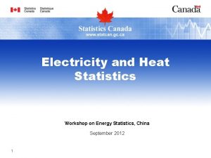 Electricity and Heat Statistics Workshop on Energy Statistics