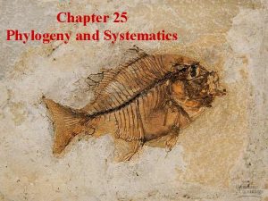 Chapter 25 Phylogeny and Systematics Copyright 2005 Pearson