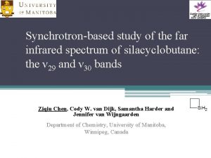 Synchrotronbased study of the far infrared spectrum of