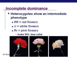 Incomplete dominance Heterozygotes show an intermediate phenotype RR