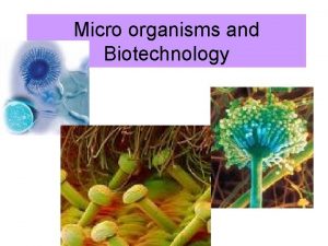 Micro organisms and Biotechnology Microorganisms are very small