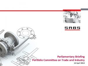 Parliamentary Briefing Portfolio Committee on Trade and Industry