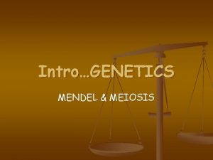 IntroGENETICS MENDEL MEIOSIS MENDELS LAWS OF HEREDITY I